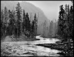 Jean Lapujoulade - Gibbon river